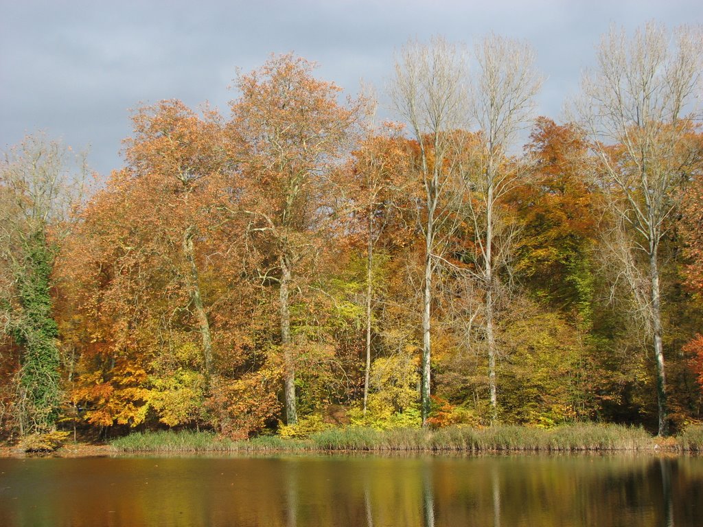 Etang de Sainte Périne by DESRENTES ERIC