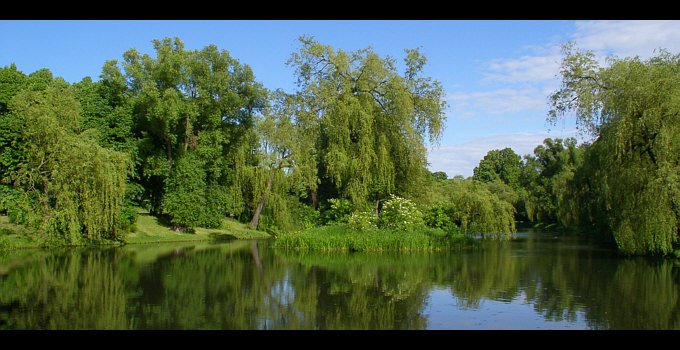 The lake in the park by grzmot