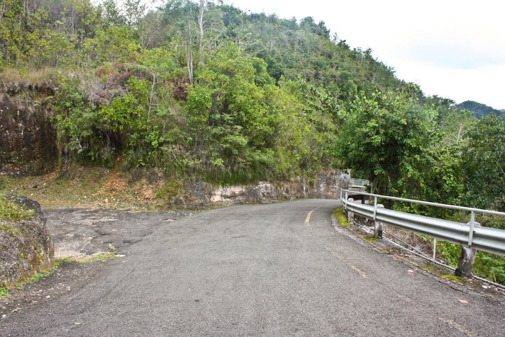 Going to Arecibo Observatory. by Roberto Lam