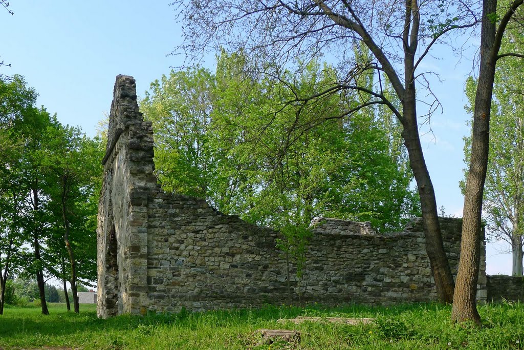 Aszófői templomrom by sm33