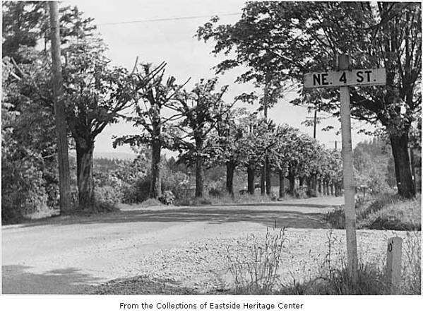 100th Avenue NE looking southeast from NE 4th Street, Bellevue, May 1959 by DWoo