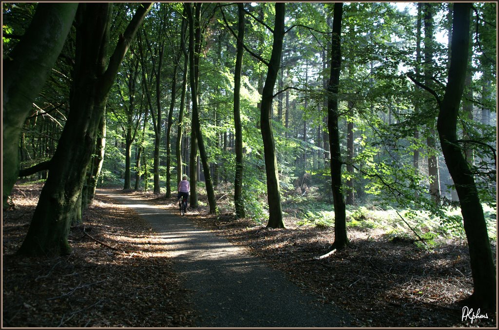 Slingerpad by Alphons Goossens