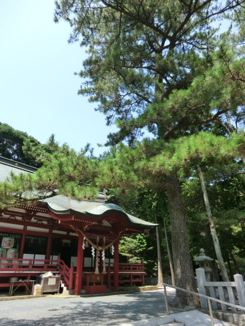 110817　池宮神社 by 谷　俊