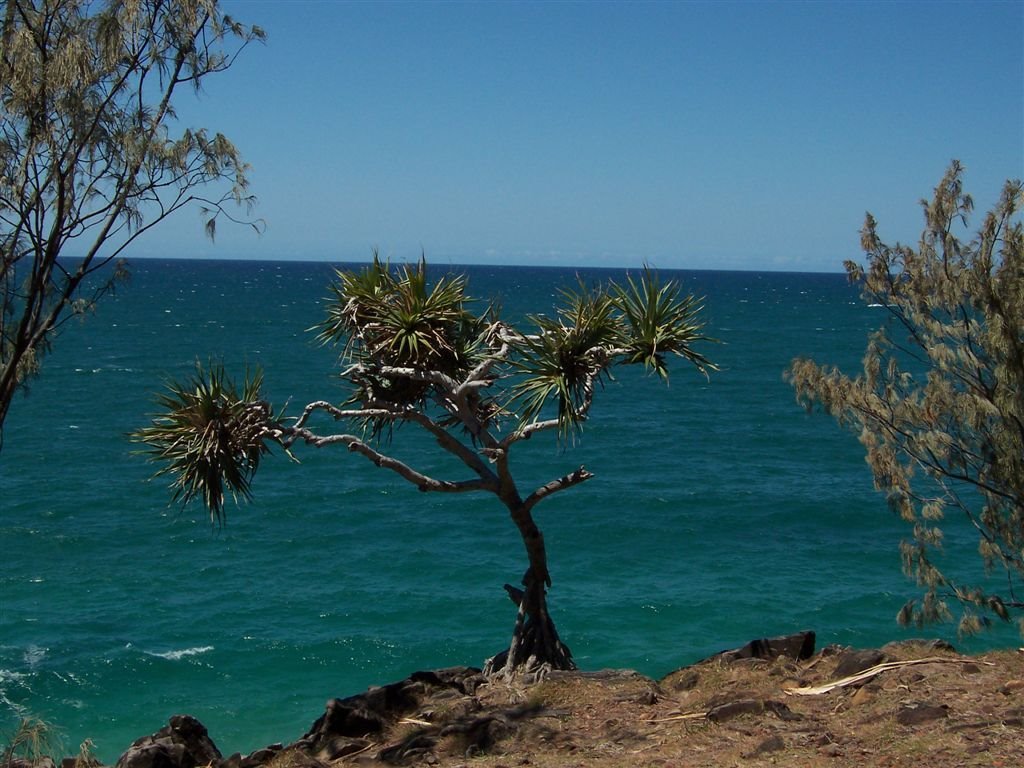 Noosa Heads by Grzegorz Budek