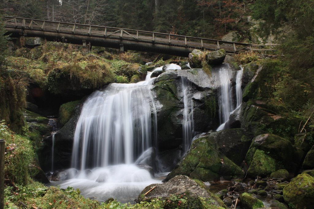 Triberg Waterfalls 2 by AndreyY