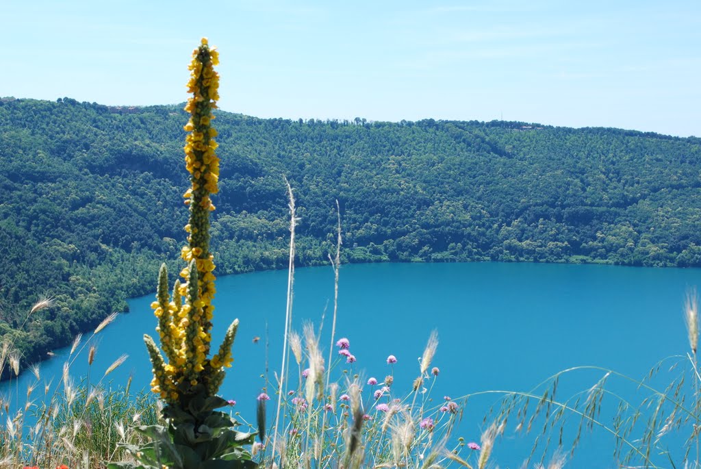 Lago di Albano - vista panoramica 2 by raff61