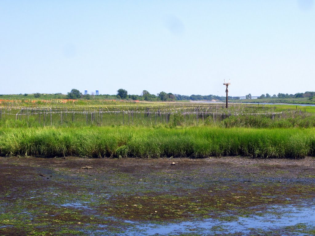 Marine Park wetland by Waheed Ashraf