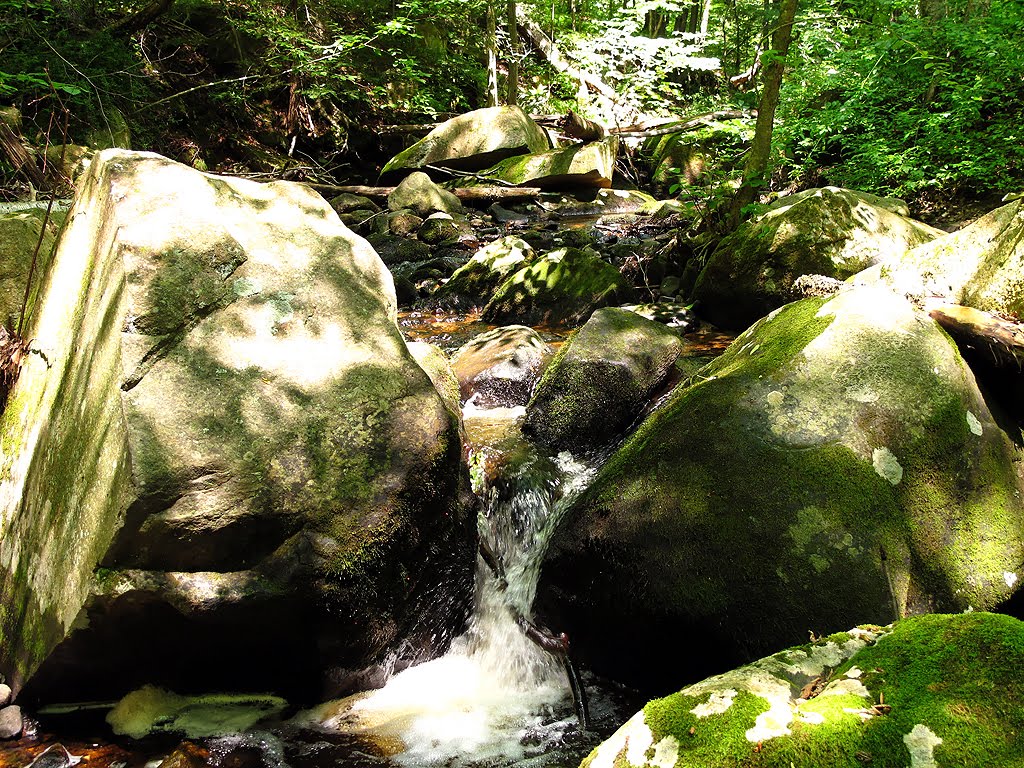 Babbling Brook by Tom Choma