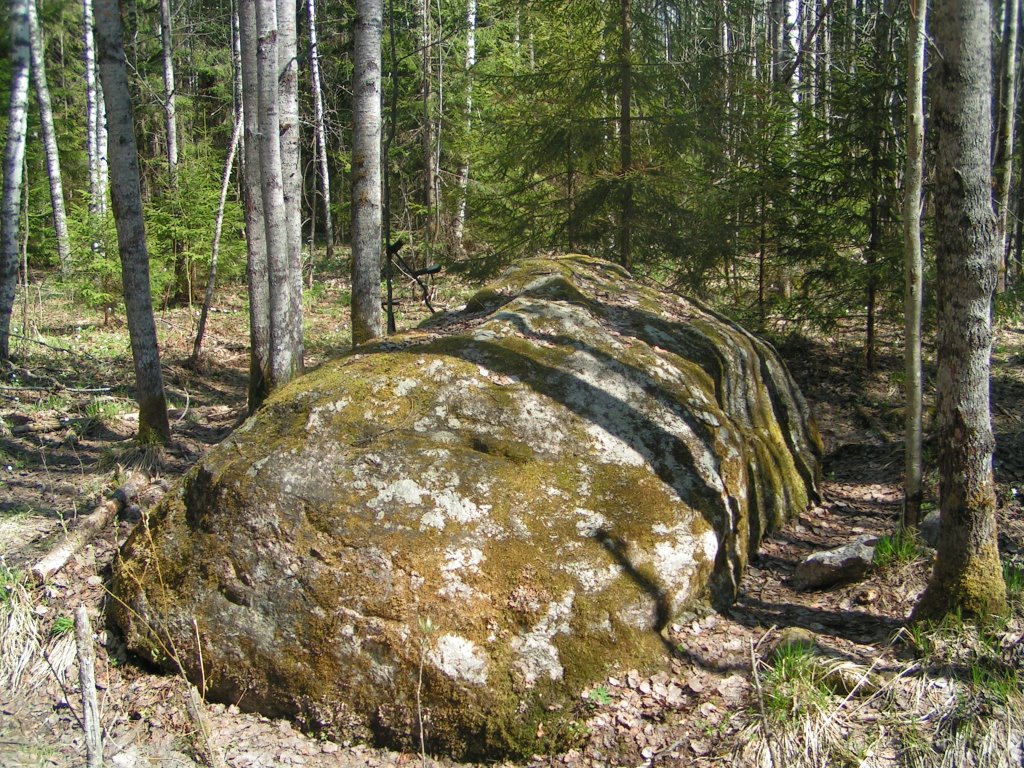 Mama-kamen (stone). Мама-камень by Semyonov Dmitriy