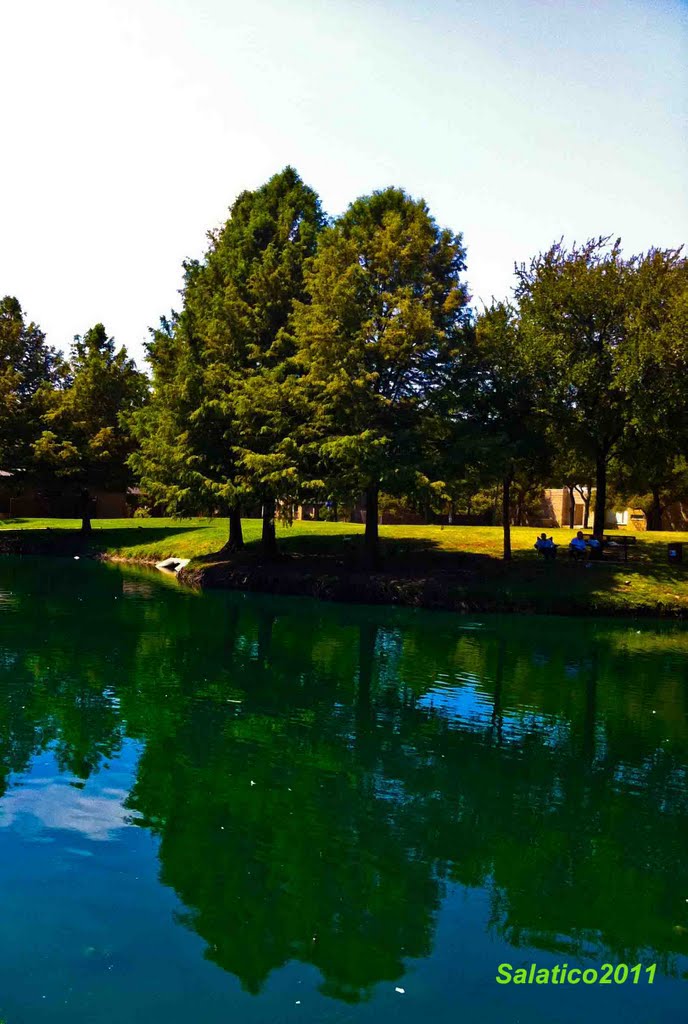 Cottonwood Park, Richardson, TX by Salatico