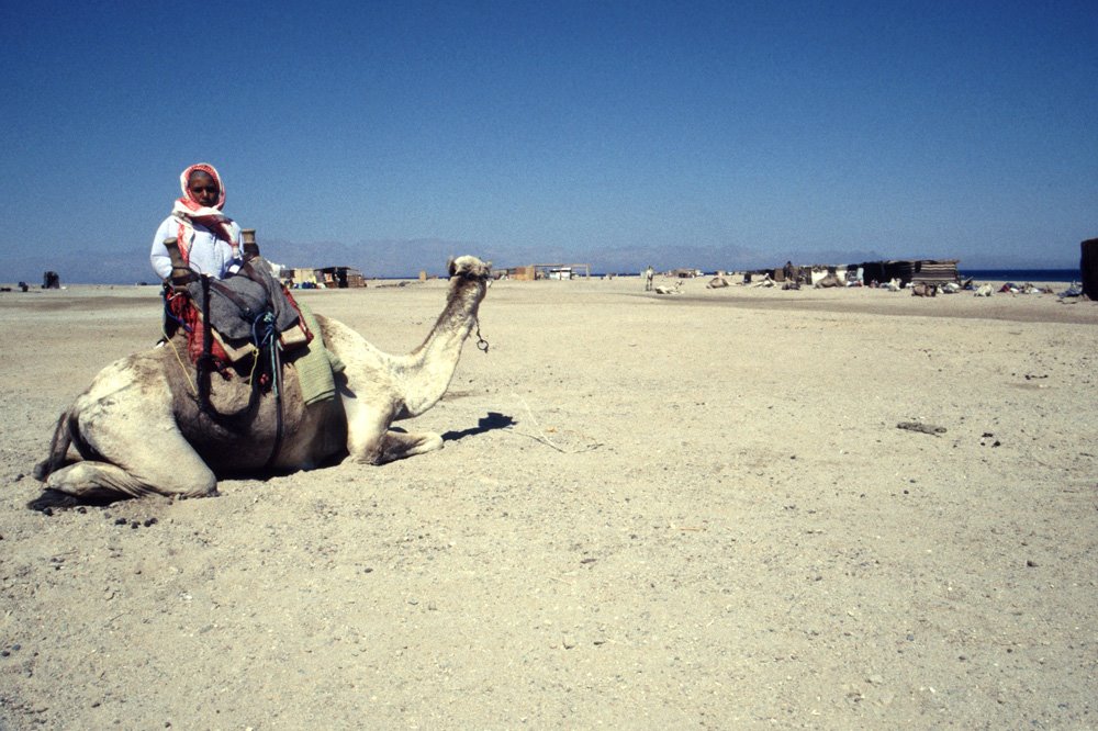 Desert near Dahab Egypt. Saudi mountains in distance by christopher vincent