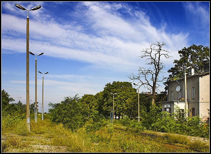 Barcin End of Railway by Apate