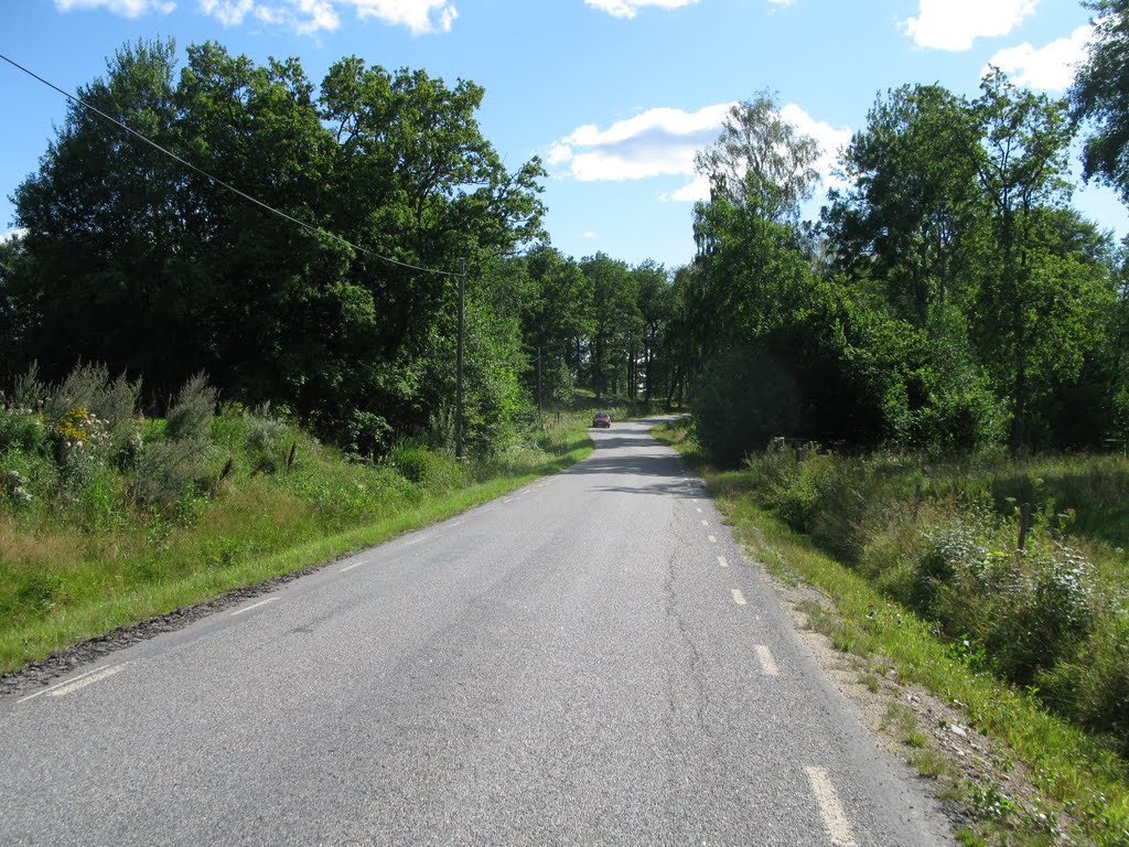 The road between Kilanda and Ryd 2011 by Biketommy