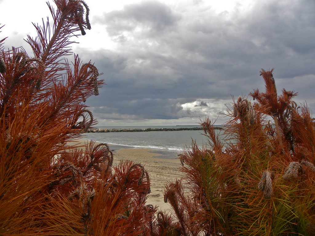 Thyborøn, Denmark (MareIII) by Carla Cianfriglia