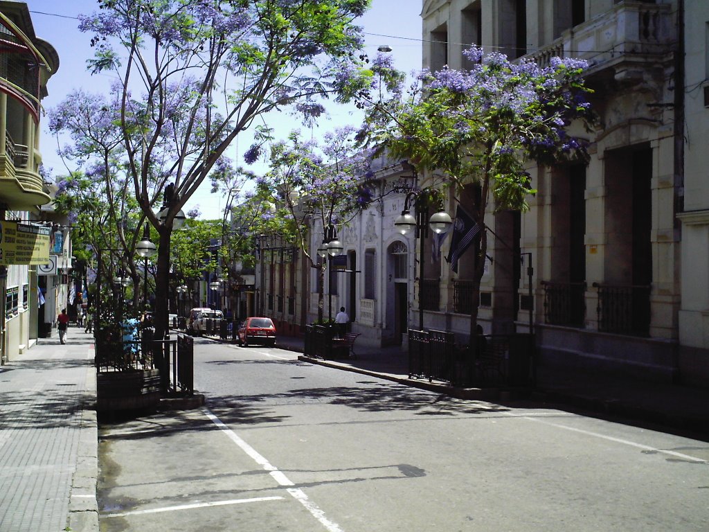 Uruguay Street in Salto - R.O.U. by jimfede