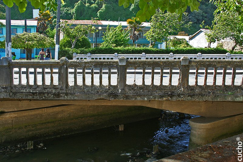 PUENTE TOMECINO by cuchitomix