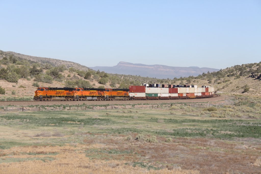 East bound BNSF in Nelson by Randy Murphy