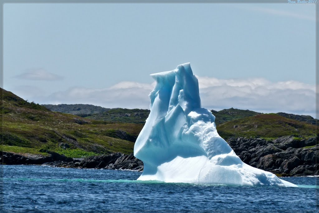 Saint Lunaire Griquet-NF- superbes icebergs by bodha