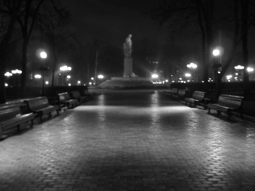 Shevchenko`s Park at night by Андрій Шуран