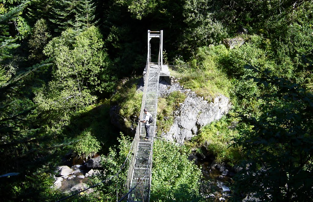 Puente Colgante sobre el rio Arnousse by Jarlata