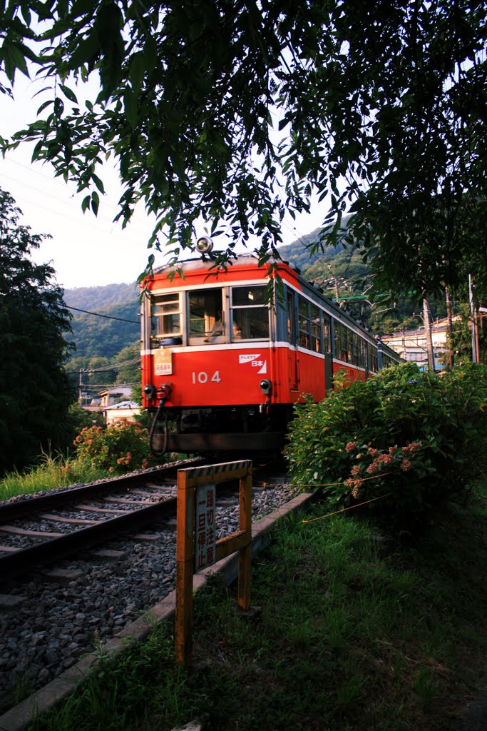 大平台　朝の散策 by iso529