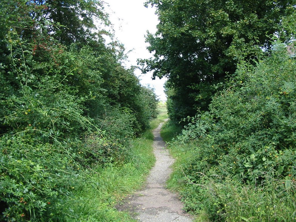 Footpath from White Tree Court heading North by Shimmerxxx