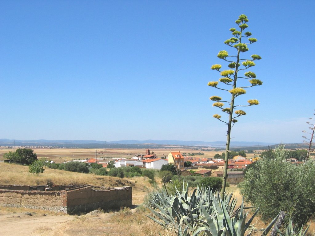 Caleruela desde el camino del Molinillo by Jaime C C