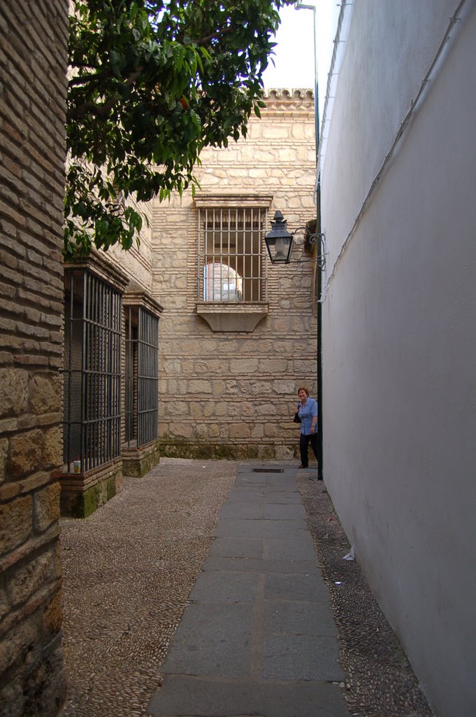 Callejas de la luna (f) by Ferlan Cor