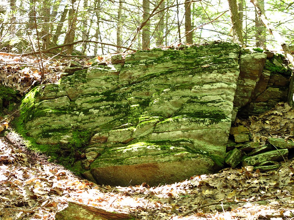 Rock Formation Along The Trail by Tom Choma