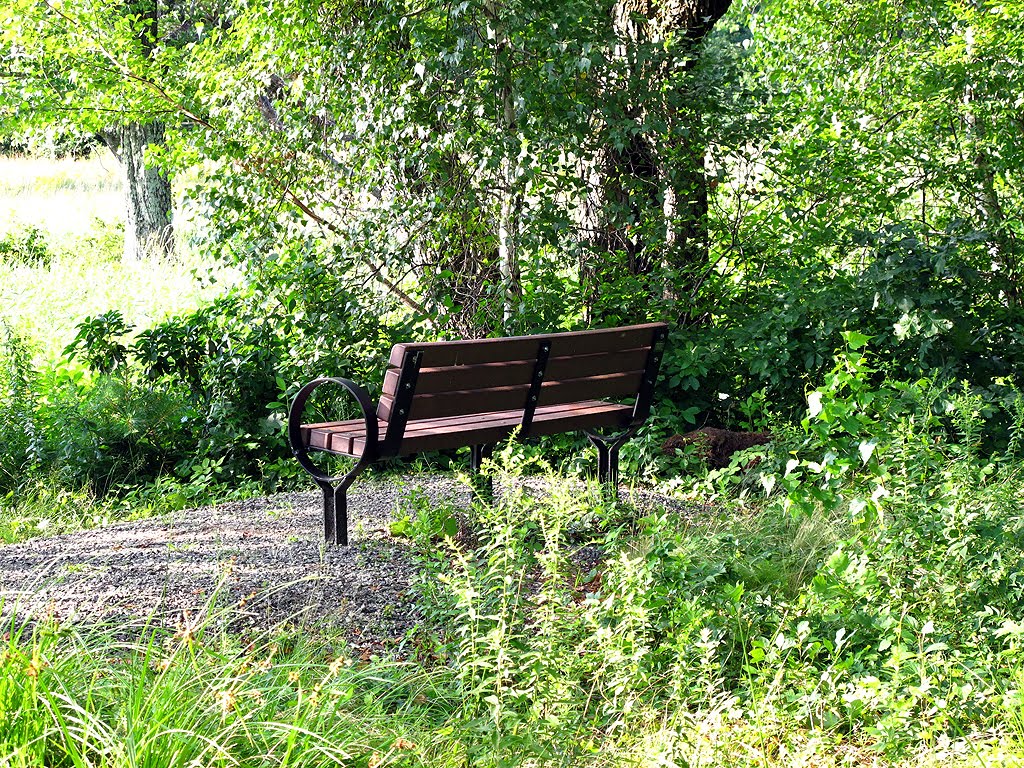 Bench Provided for Pond View by Tom Choma