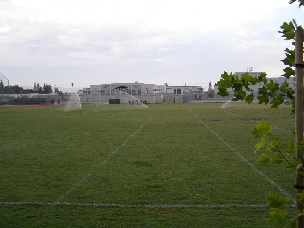 Rosemead High School by chinhduyuyen17012001