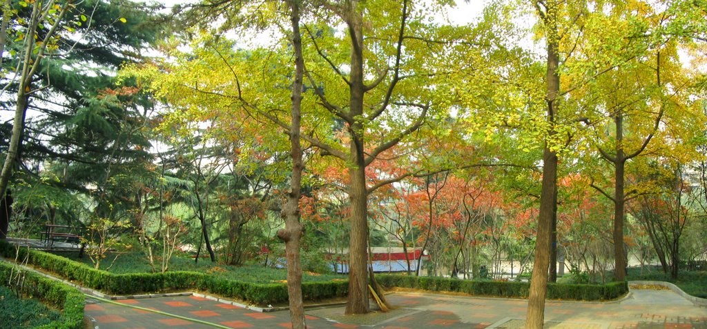 紫荆山公园 Zijingshan Park by xiqin_ma