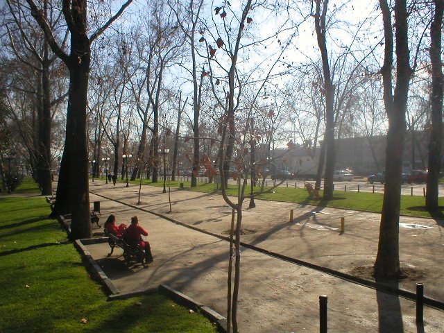 Parque Forestal by Salvador Ferrer B.