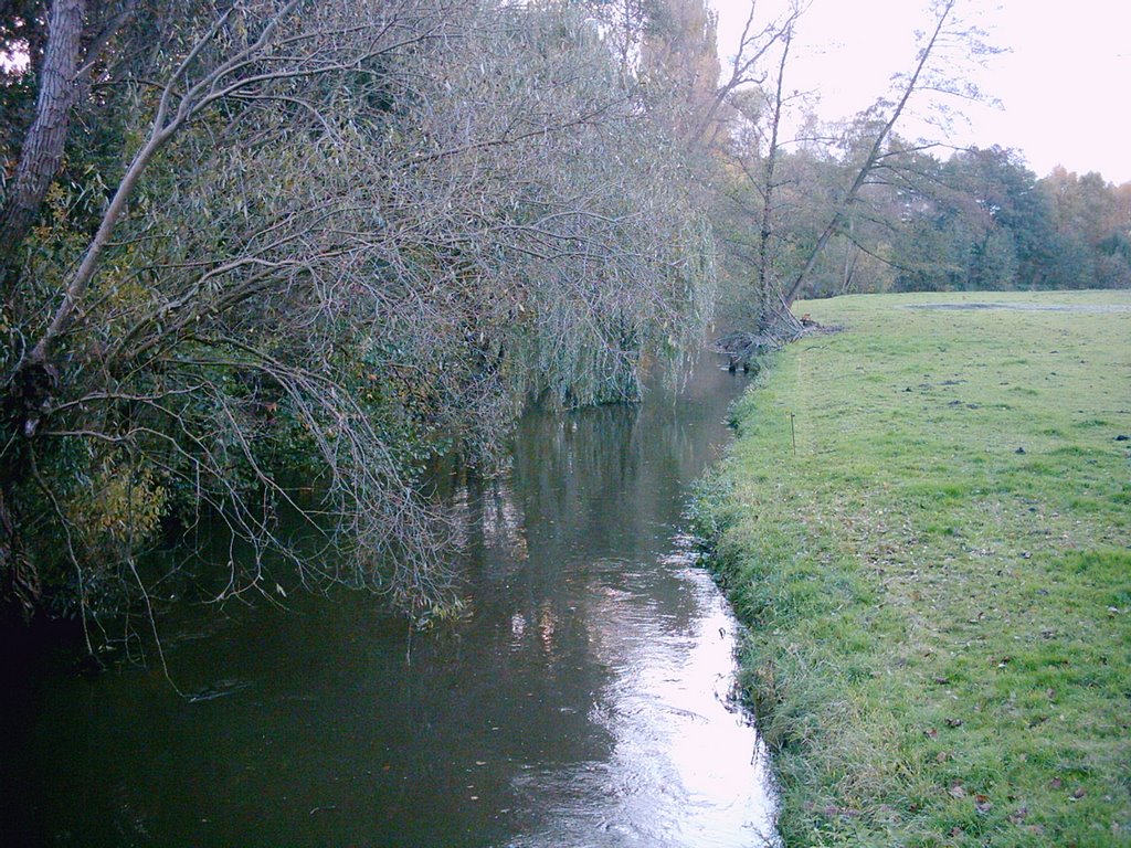 Die Hase an der Wellmannsbrücke by stefanie-w