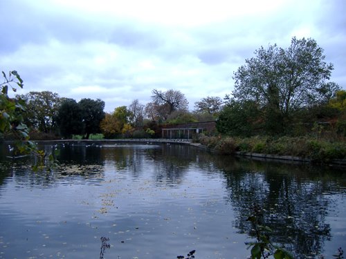 Lake - Brockwell Park by pema_aum