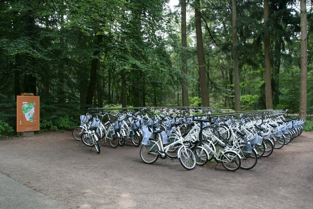 Rentalfree whitebikes, NP De Hoge Veluwe, Hoenderloo. by Carl030nl