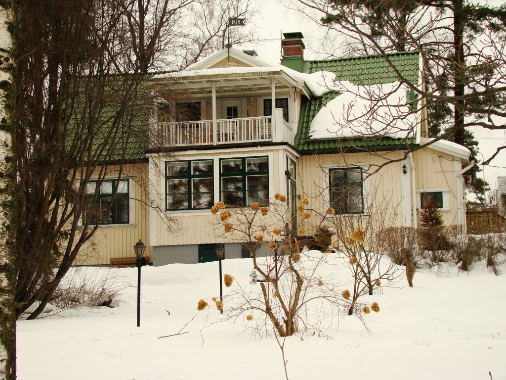 Wooden House in Marjaniemi by PlamenB