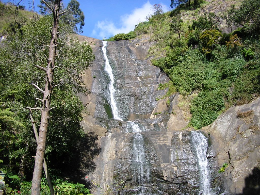 Silver Cascade1 by Bashir Muhamed