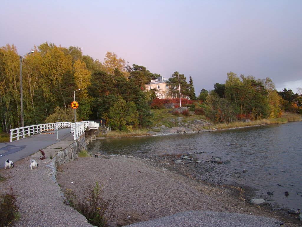 Bridge in Kulosaari by PlamenB