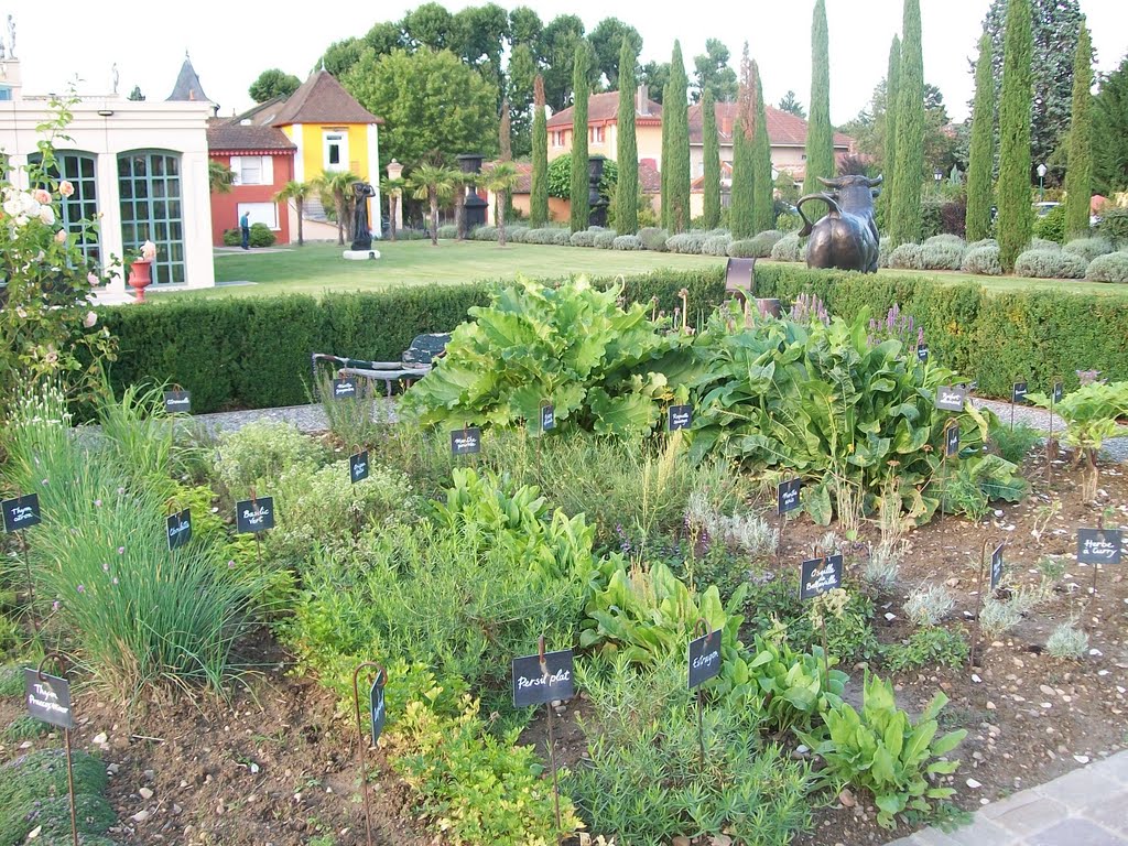 Le potager de Georges Blanc by gergovie