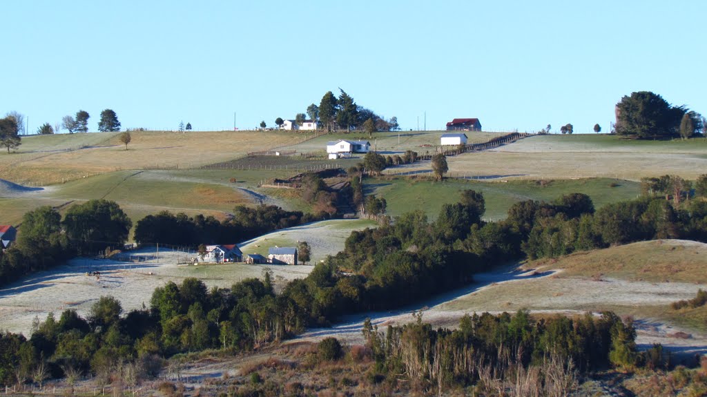 Campos al sur de Chonchi sector Tara by Claudio Paz