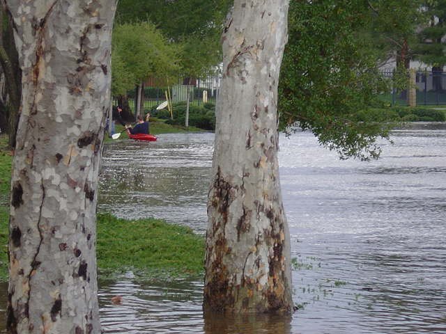 2005 Flood: Looking towards Coast Guard Housing(Victory Village) and Olivera Road by baker7598