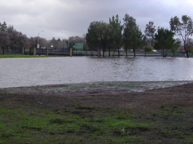 2005 Flood: Drainage Pond in Coast Guard Housing(Victory Village) overfilled pouring out onto Olivera Road by baker7598