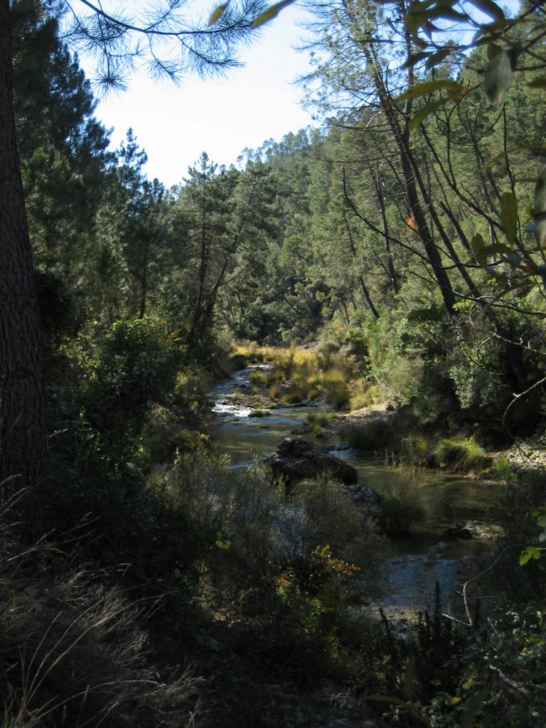 Rio barosa_i by Jonathan_taibo