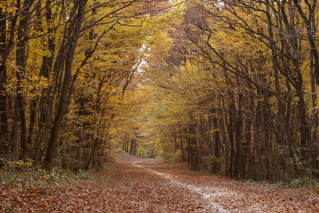 La promenade du bord du Rhône by Blaise-Emmanuel