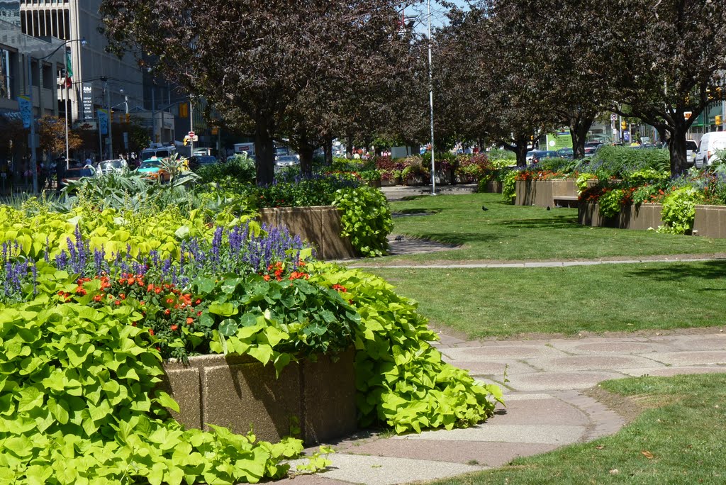 Park-Like Area in the Centre Median along University Ave. in Toronto by Joseph Hollick