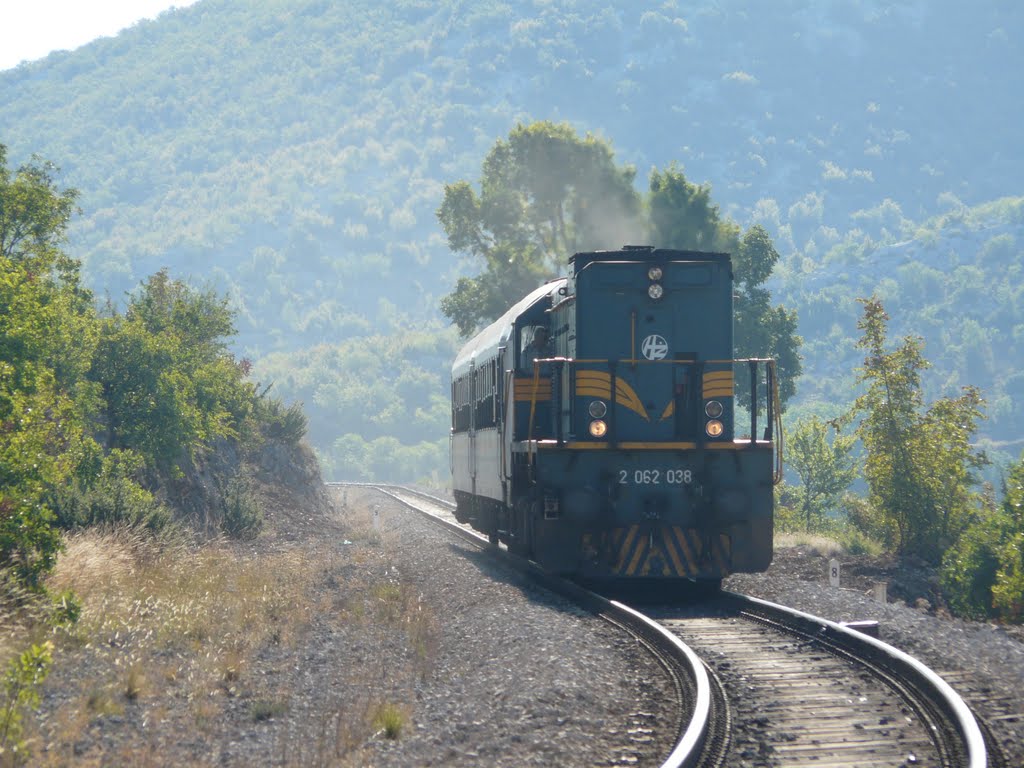 5502 at Brdašce by LoBéla