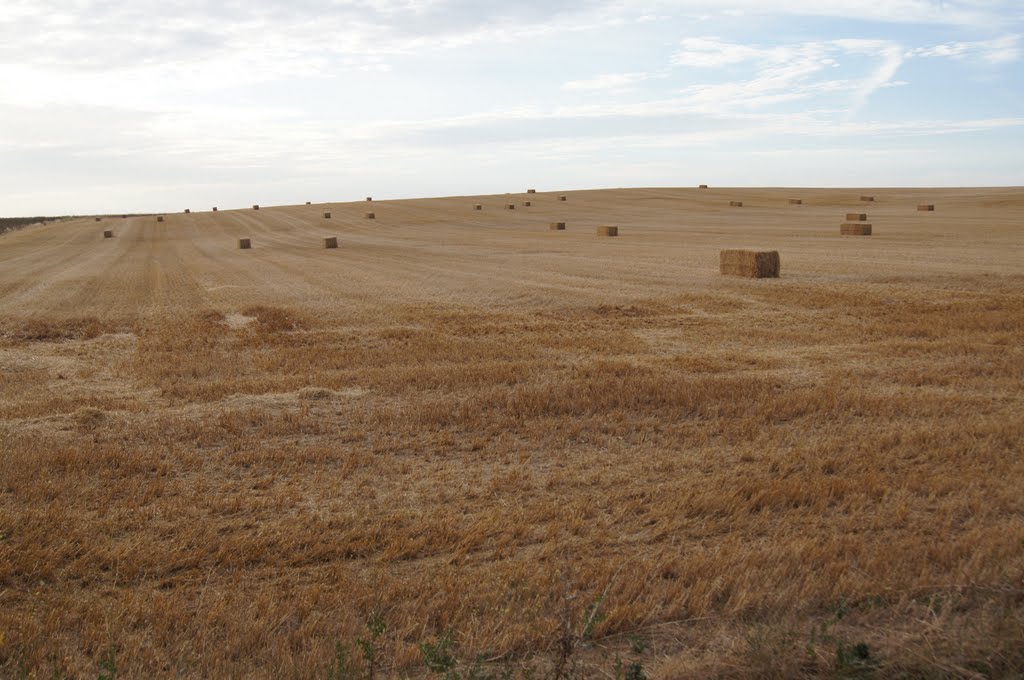 Las pacas de paja son adornos temporales del paisaje castellano. by Hikergoer