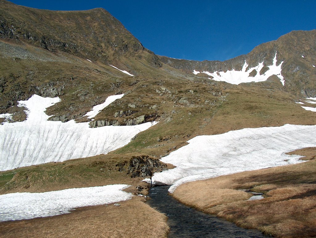 Izvorul Riului Doamnei by trekker