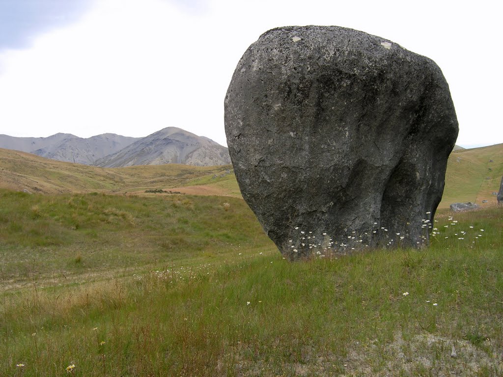 (i) Castle Hill lonesome boulder and daisies by Tomas K☼h☼ut